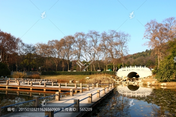 磨山風(fēng)景