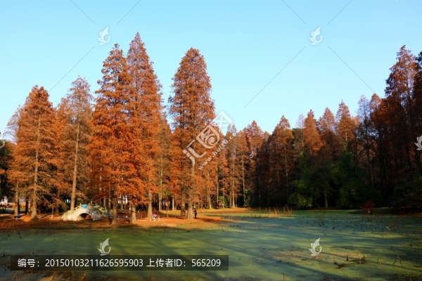 磨山風(fēng)景