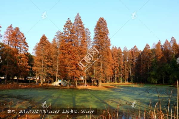 磨山風(fēng)景
