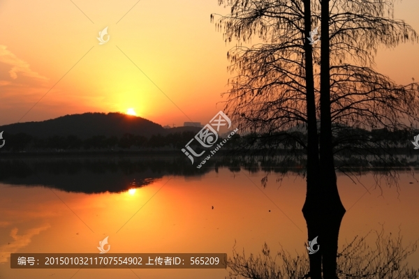 梅園風(fēng)景
