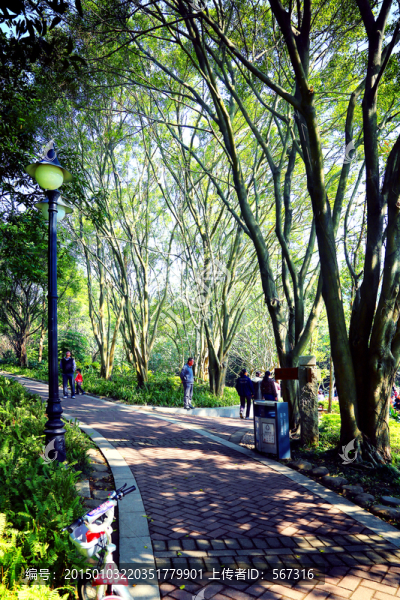筆架山綠道