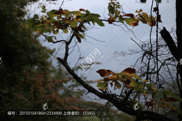 塔云山