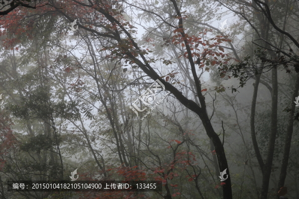 塔云山