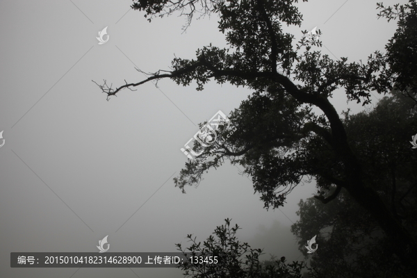 塔云山