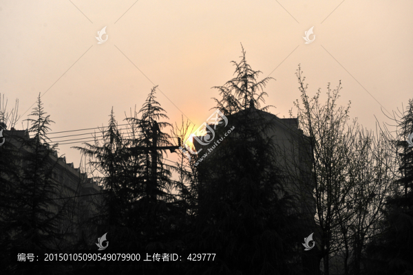 日出