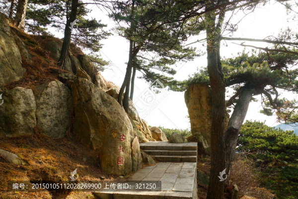 泰山古松園