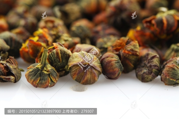 新疆雪菊胎菊