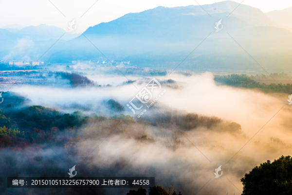 迷霧森林