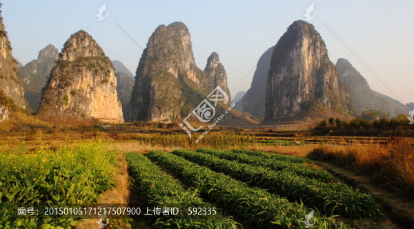 奇峰