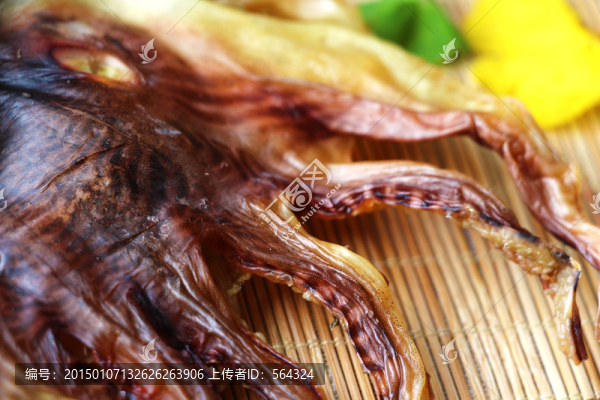 墨魚(yú),烏賊