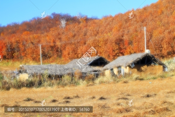 農(nóng)家秋色