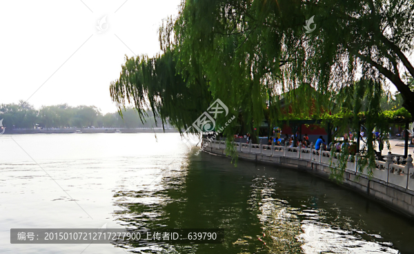 公園