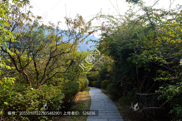園林小道