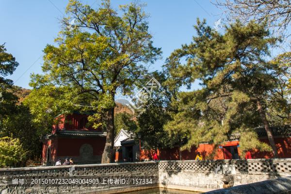 大覺寺旅游風(fēng)光