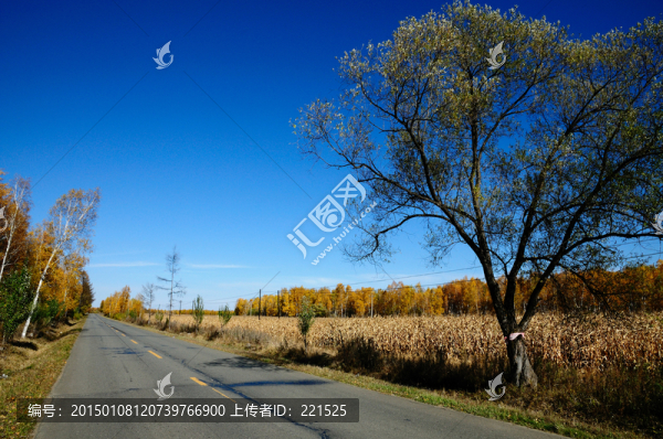 東北風(fēng)光
