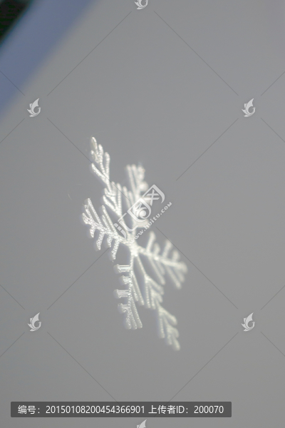 雪花