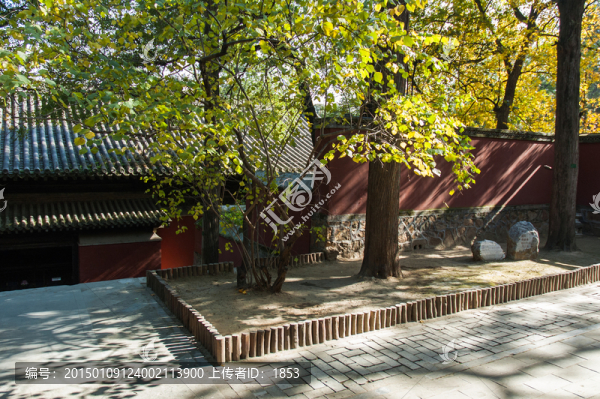 大覺寺建筑園林景觀