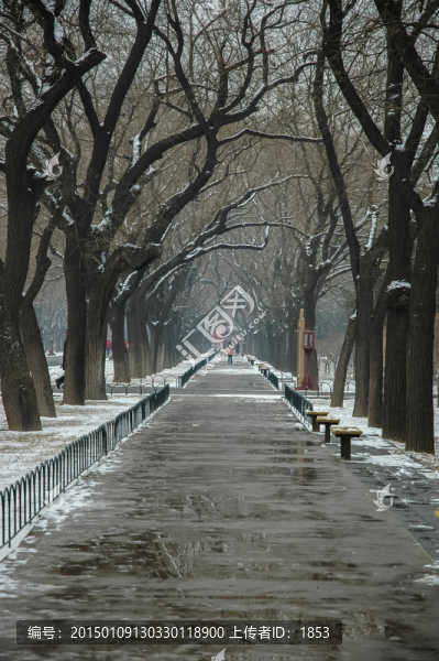 天壇小路