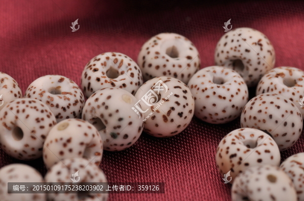 菩提子,星月菩提