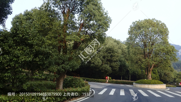 綠色公路