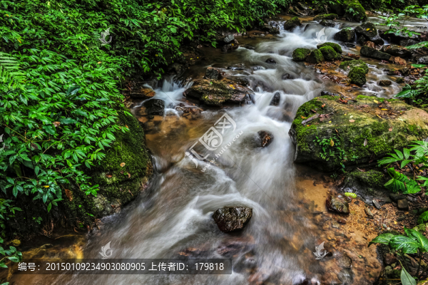 林間溪流