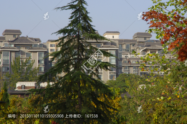 洋房,高端住宅外墻外立面