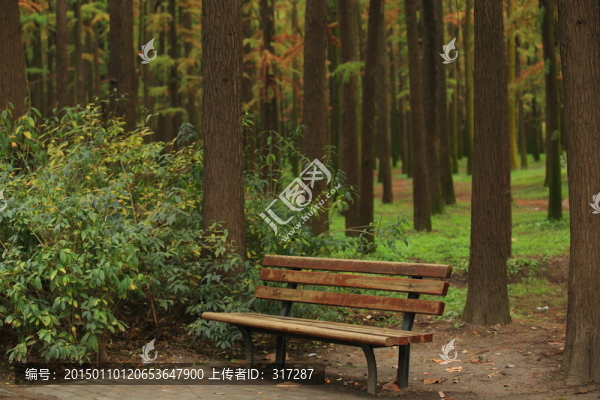 樹林
