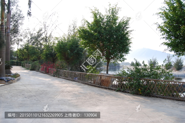 山莊水泥道路
