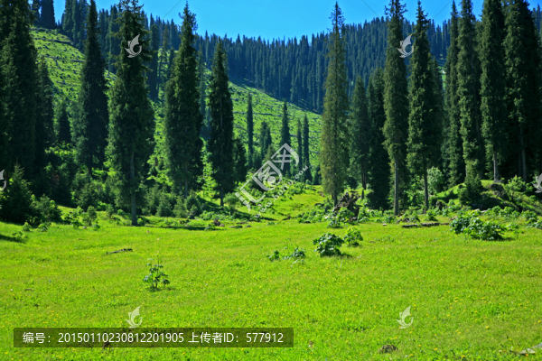 草原風(fēng)光