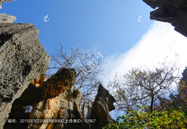 石林風(fēng)景區(qū)