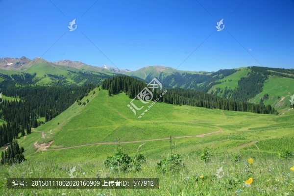 草原春色