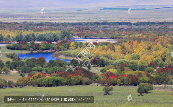額爾古納濕地