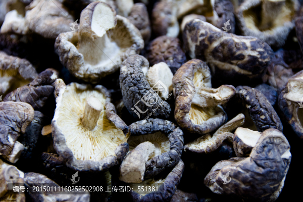 香菇