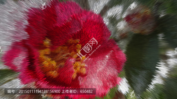 電腦創(chuàng)意作品茶花