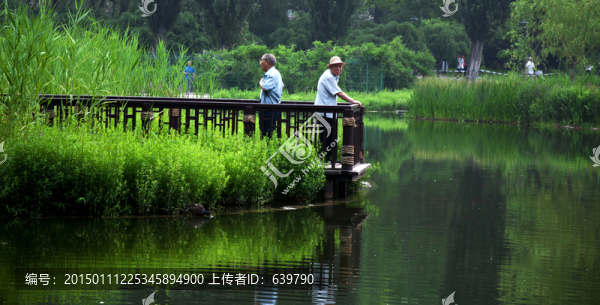 公園晨練老人