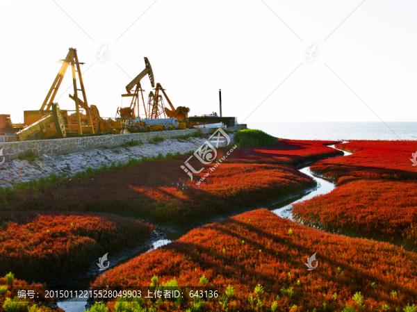油田,抽油機(jī),紅海灘