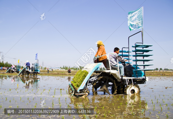 水稻,播種機(jī)