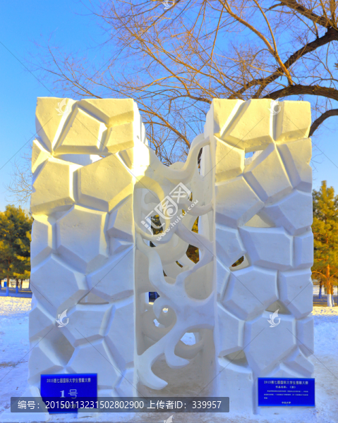 國際大學生雪雕大賽