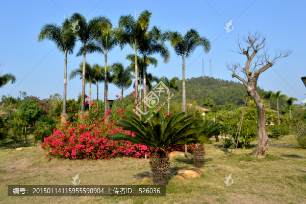 園林風景