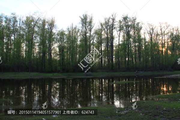 原始森林,湖泊