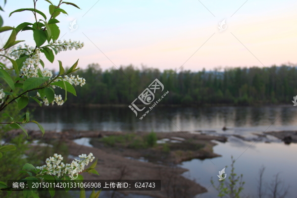 原始森林,湖泊