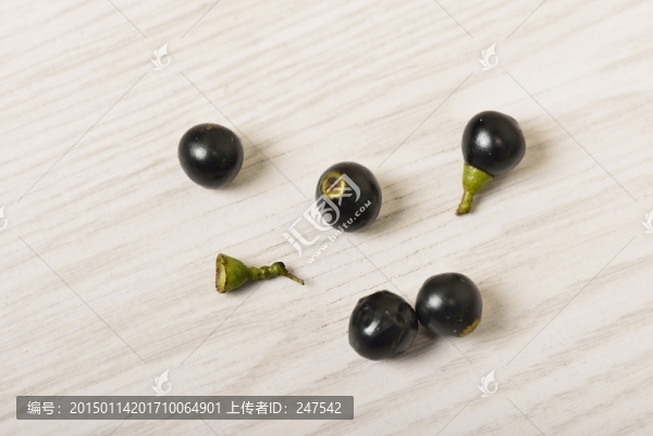 樟樹子