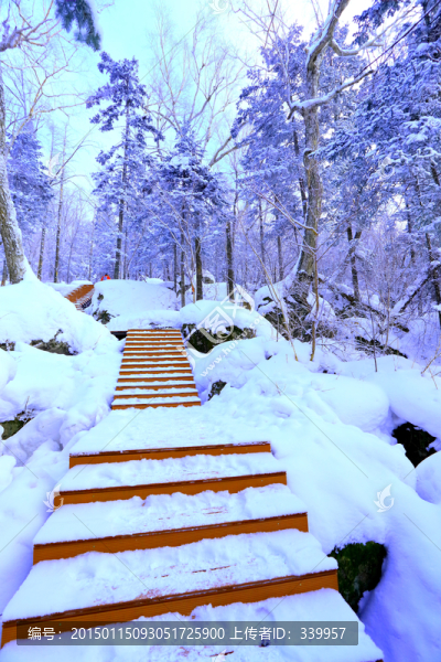 冰雪旅游