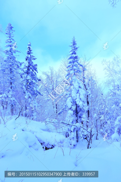 冰雪旅游
