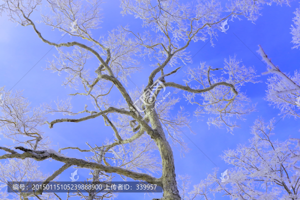 冰雪旅游