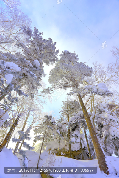 冰雪旅游