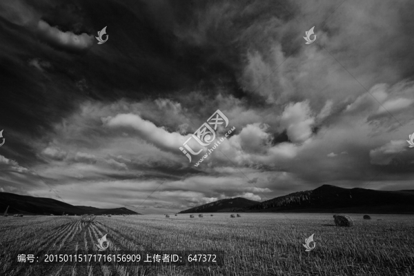 收獲季節(jié)