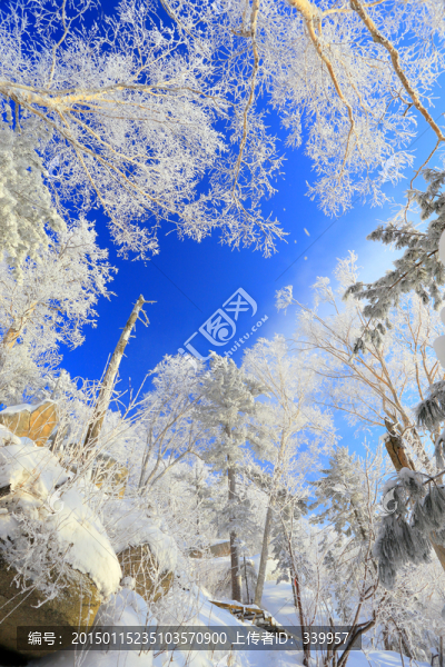 冰雪旅游