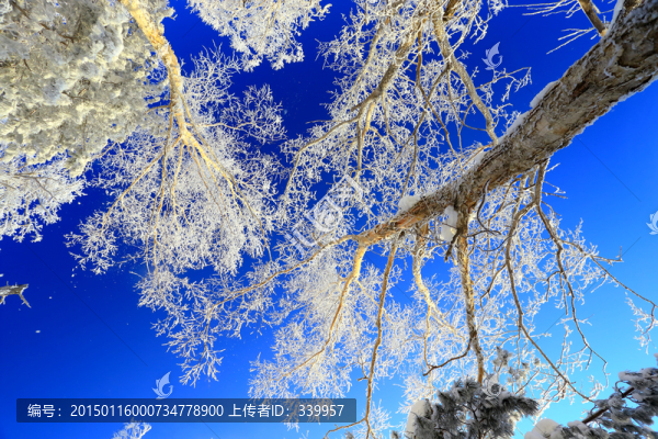 冰雪旅游