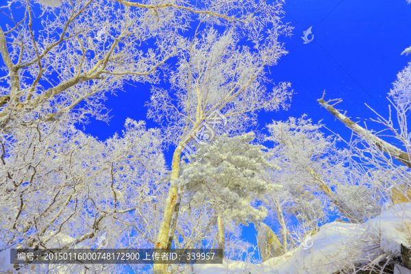 冰雪旅游